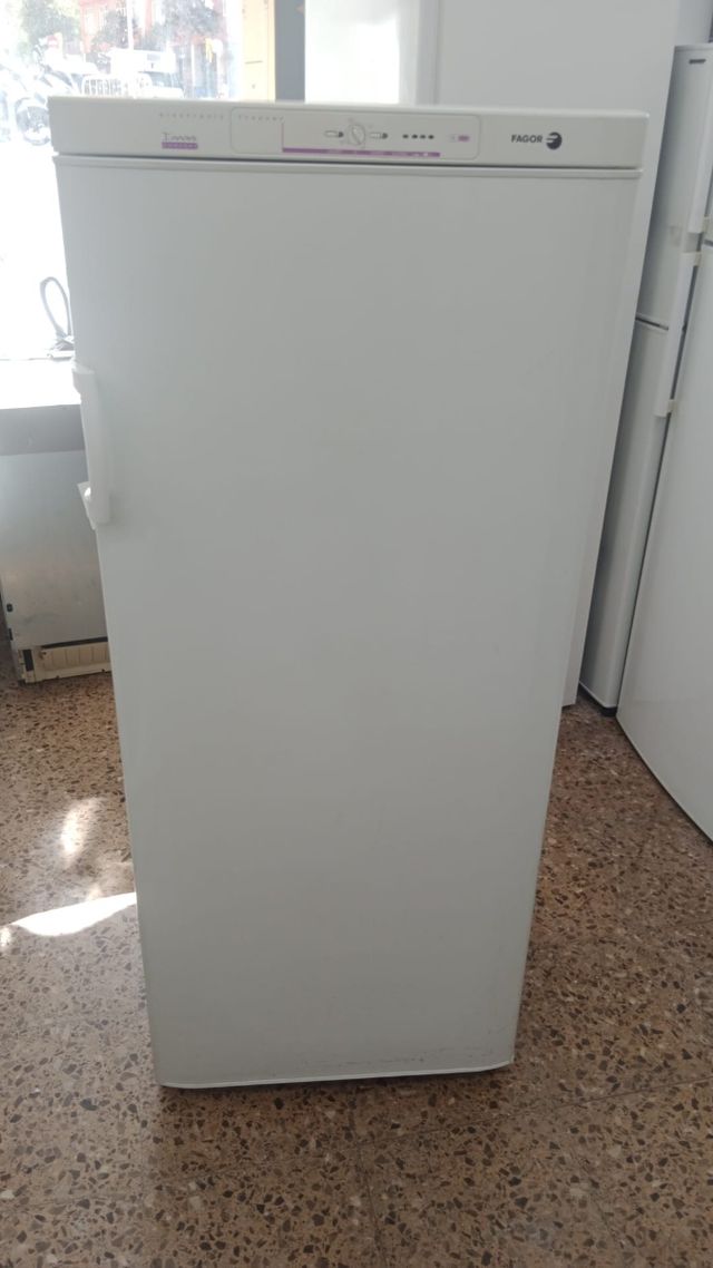 Congelador vertical Fagor: ¡oferta!
