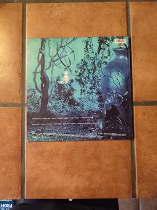 Vinilo Enya - Shepherd Moons