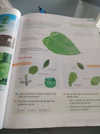 CONOCIMIENTO DEL MEDIO 3 (COMUNIDAD ZOOM)