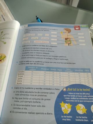 CONOCIMIENTO DEL MEDIO 3 (COMUNIDAD ZOOM)