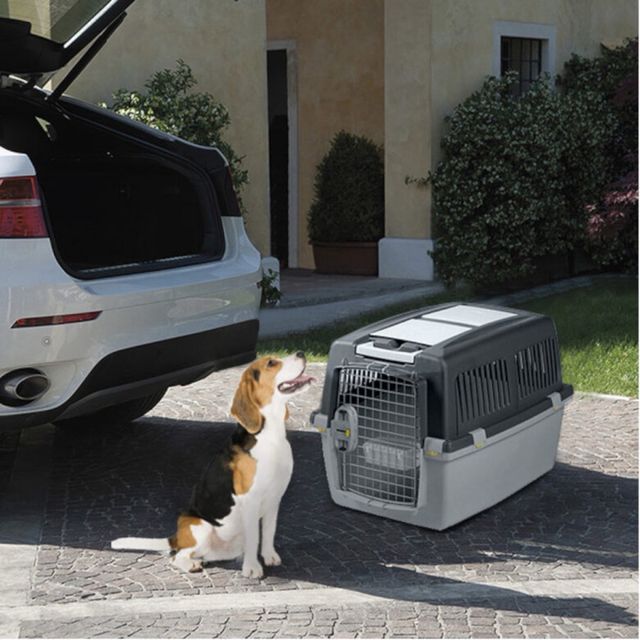 Transportín para perro Stefanplast Gulliver 4 IATA