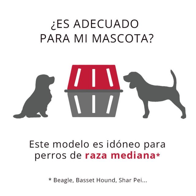 Transportín para perro Stefanplast Gulliver 4 IATA
