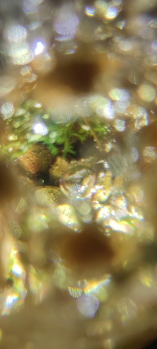 Bola decorativa con plantas y flores artesanal