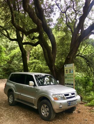 Mitsubishi Montero 3.2 DID 2003 muy cuidado.