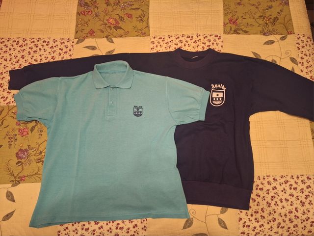 Uniforme escolar Ayalde: jersey, chaleco, deporte.