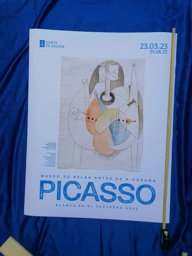 ARTE. DIBUJO X. PICASSO. CARTEL