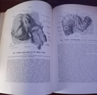 Atlas Anatomía Humana Spalteholz (3 tomos)