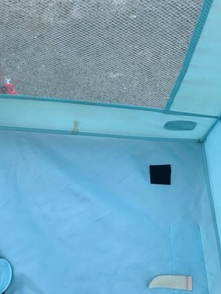 Cuna viaje Chicco Conffetti