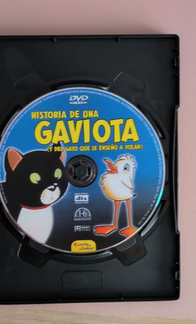 Film Storia di un gabbiano