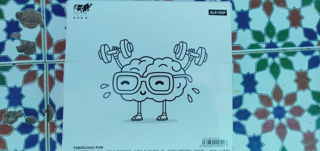 Juego de 12 rompecabezas metálicos