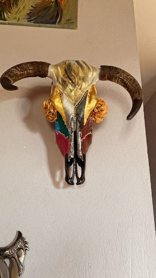 Calavera de vaca pintada 