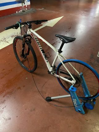 Bicicleta Rockhopper Specialized + Rodillo