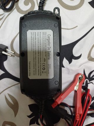 Cargador Batería 6V/12V 2A/4A Washcar