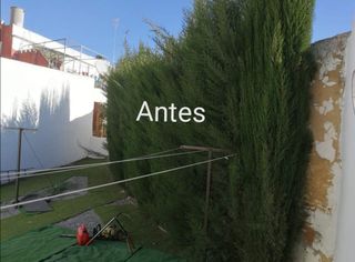  poda de setos árboles desbroces 
