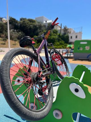 Bicicletta acrobatica - Wheelie