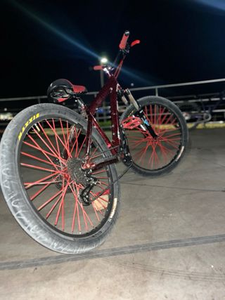 Bicicletta acrobatica - Wheelie