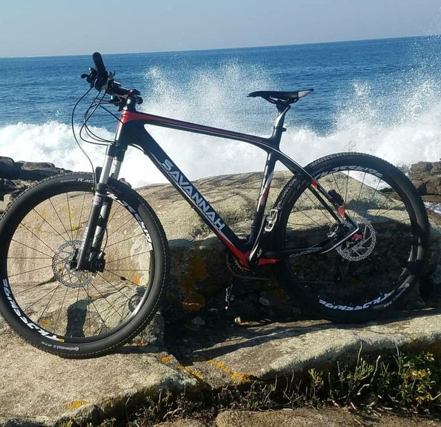 Bicicleta de montanha Savannah Carbon