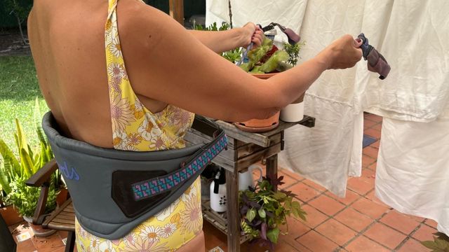 Arnes windsurf nuevo y vela usada