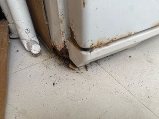 Nevera LIEBHERR Premium