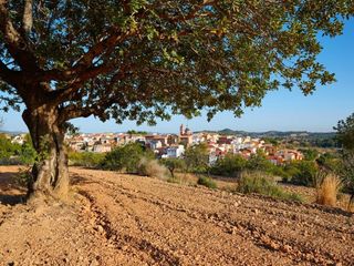 Piso en venta en Almoradí