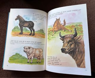 Todas las respuestas sobre la vida de los anima...