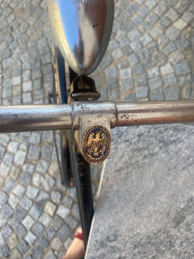 Bicicletta Antica da Donna “taurus”