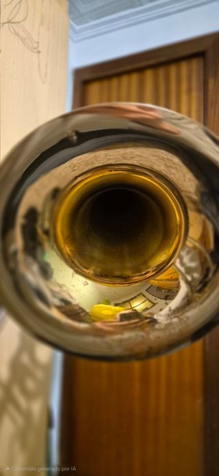 Trombón bajo Holton TR181 USA