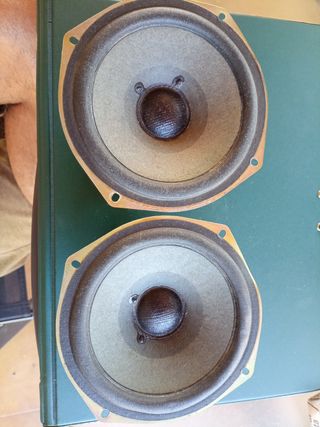 Altavoces Sony es una pareja . Los dos iguales .