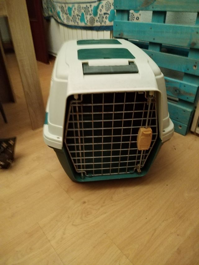 Transportín mascotas - Verde y blanco