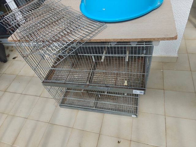 4 Jaulas de cría RSL de 60 + accesorios