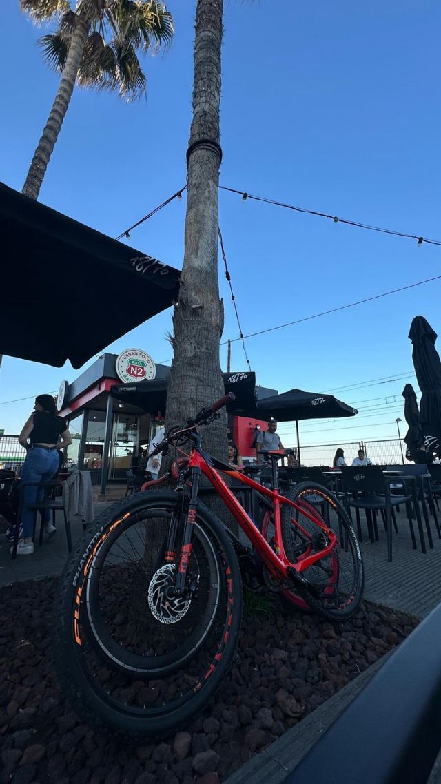 Bicicleta Cube carbono 29”