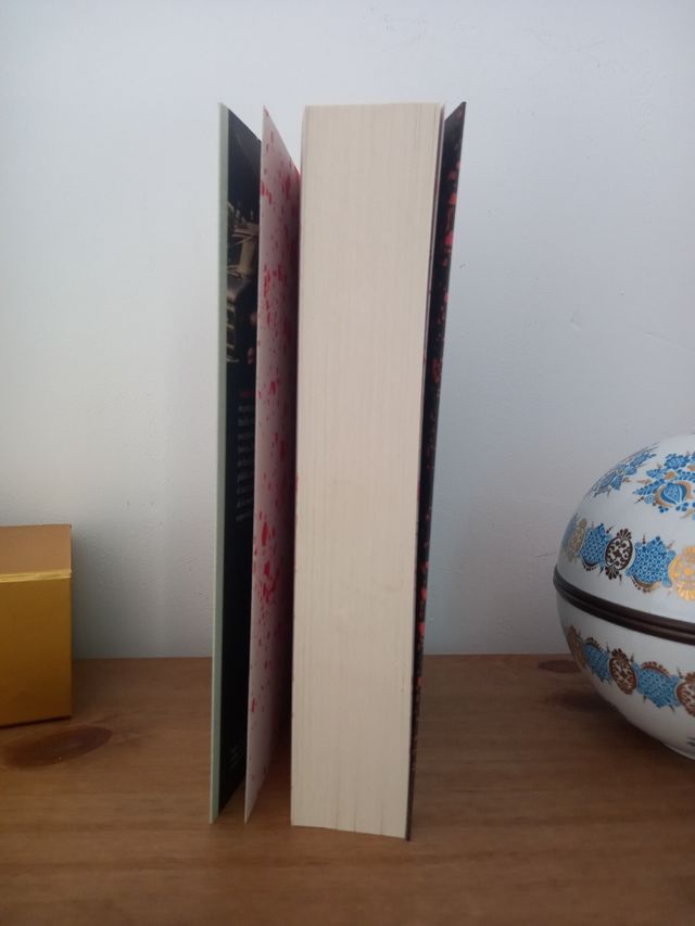 L'assassí de la muntanya