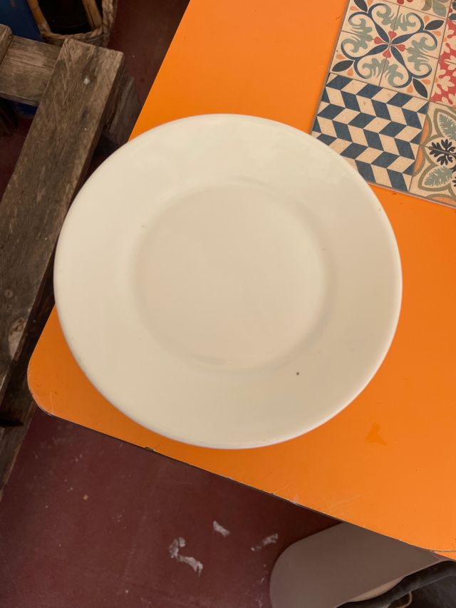 14 Platos porcelana blancos