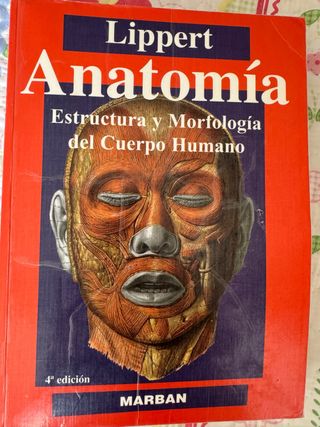 Anatomia. Estructura y morfologia del cuerpo