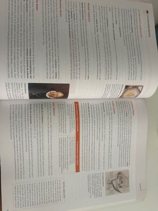 Historia de la Filosofía 2