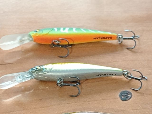 Lote de 10 señuelos de pesca