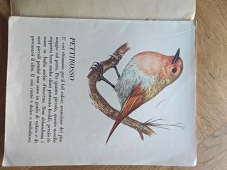 Riviste sugli animali