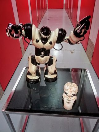 Robot Juguete con Mando