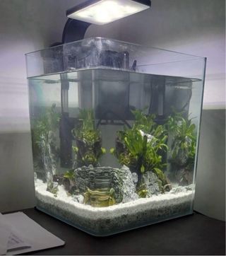Acuario OPTI TANK 20L ROUNDED