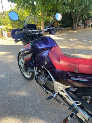 Kawasaki KLE 500 - Trail