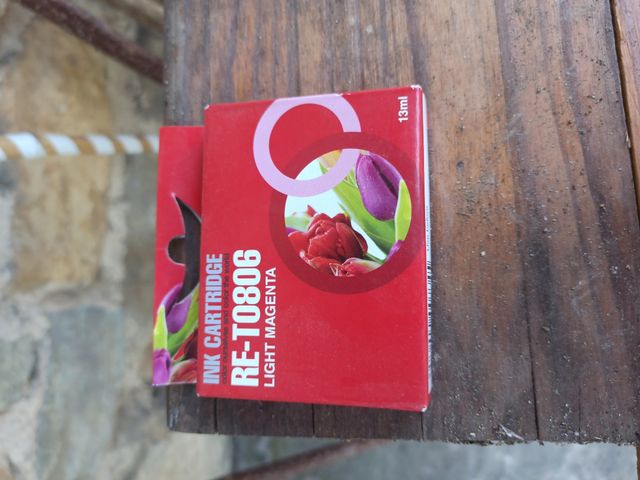 Cartuchos tinta Epson RE-T0800