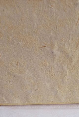 ALBUM DE FOTOS 100% VEGETAL ARTESANAL 