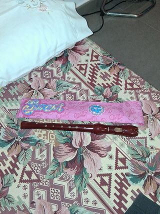 Flauta dulce usada + funda