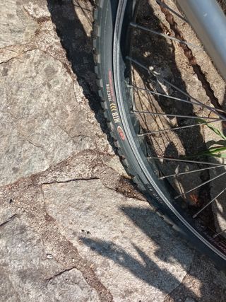 Bicicleta montaña usada