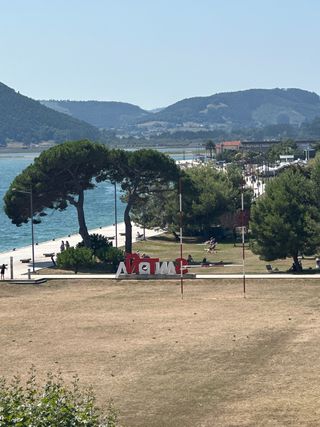 pintor profecional internacinal