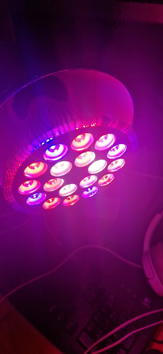 Confezione da 15 w di luci da coltivazione + 1 estensore