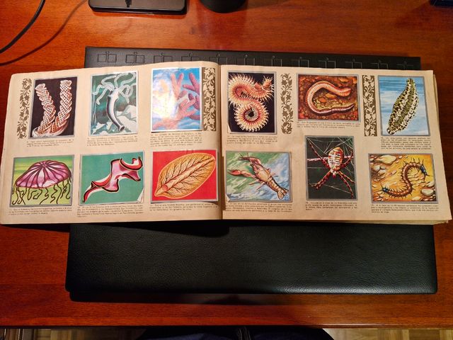 Álbum de cromos Zoología y Botánica MAGA (1969)