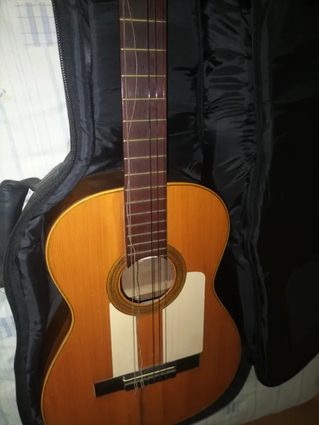 Guitarra flamenca Luis Arostegui (1978)
