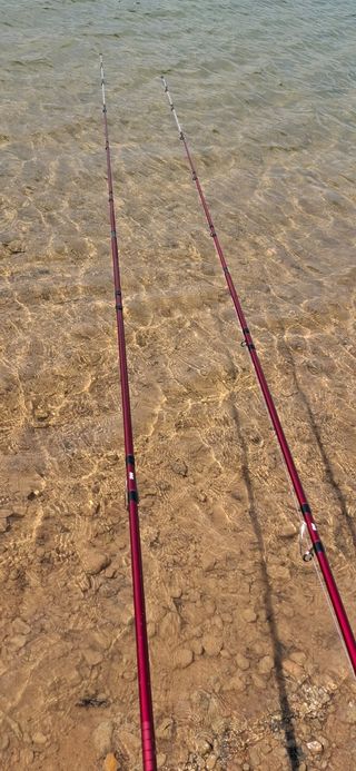 Cañas Pesca Surfcasting Symbios sin carrete!