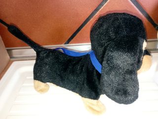 Perro salchicha peluche